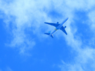 大空を飛ぶ飛行機